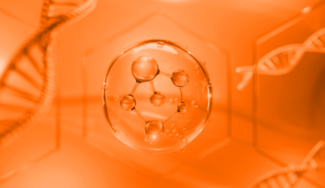 Wissenschaftler bestätigen: Diese 10 Morgenrituale können Ihr biologisches Alter zurückdrehen