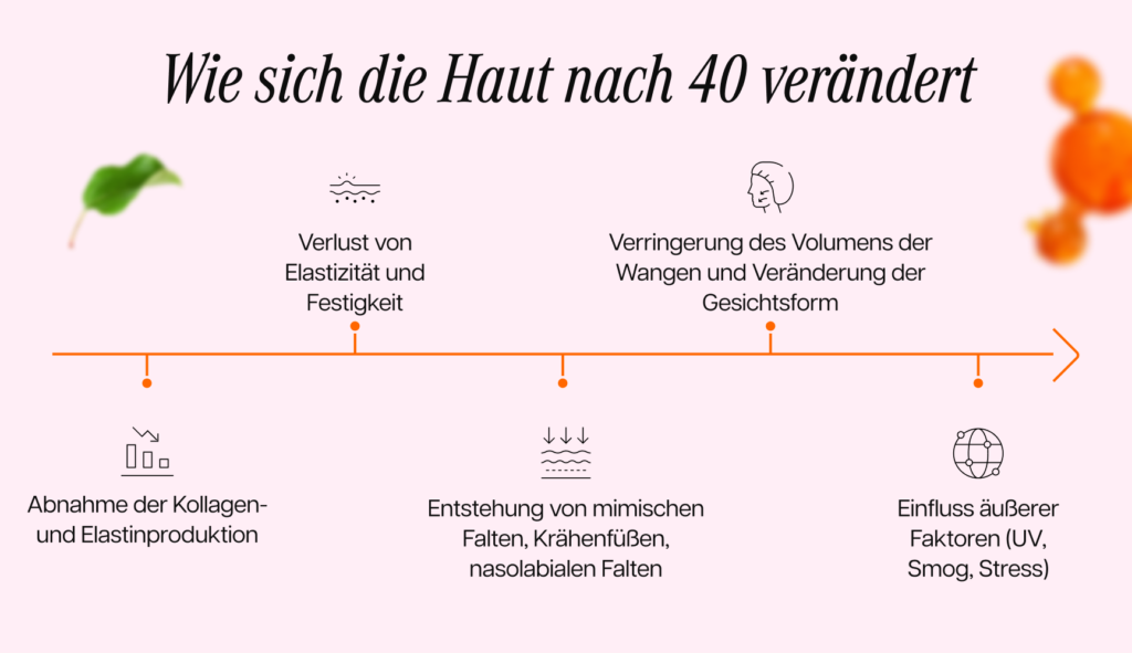 Infografik, die zeigt, wie sich die Haut nach dem 40. Lebensjahr verändert