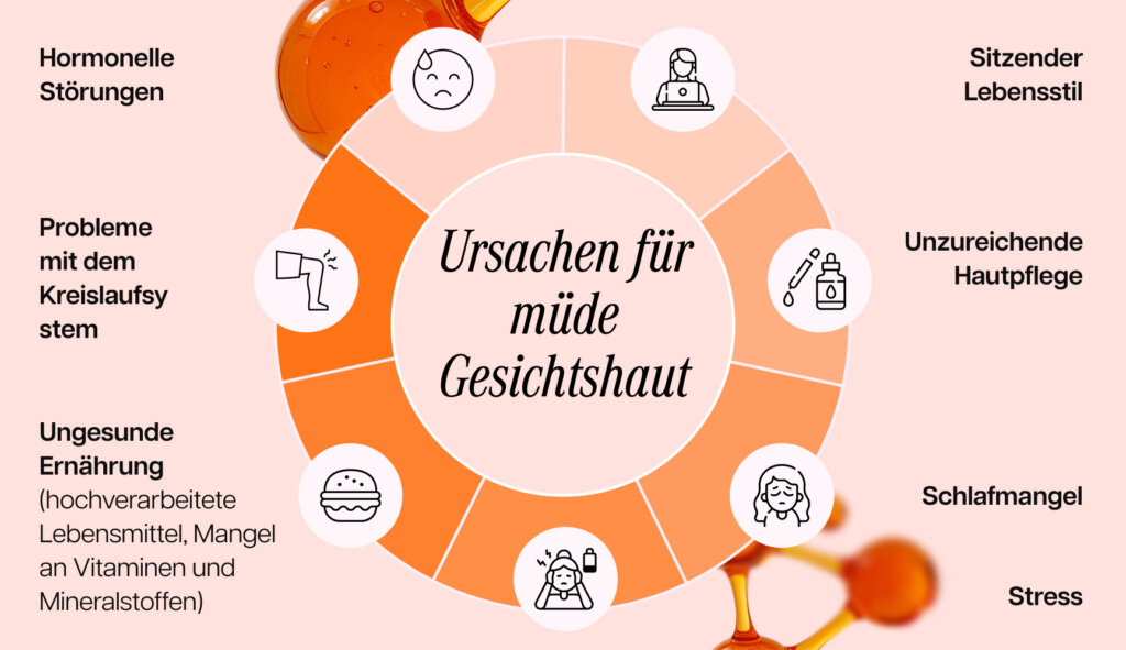 Infografik zu den Ursachen müder Gesichtshaut